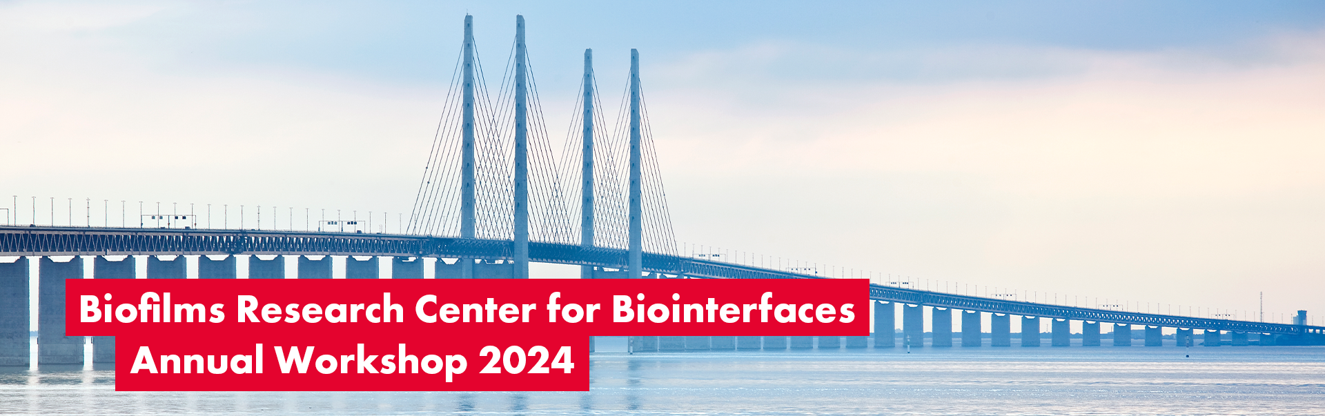 BRCB Annual Workshop 2024