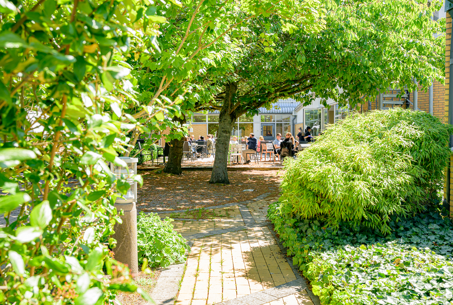 Grönskande innergård Medeon