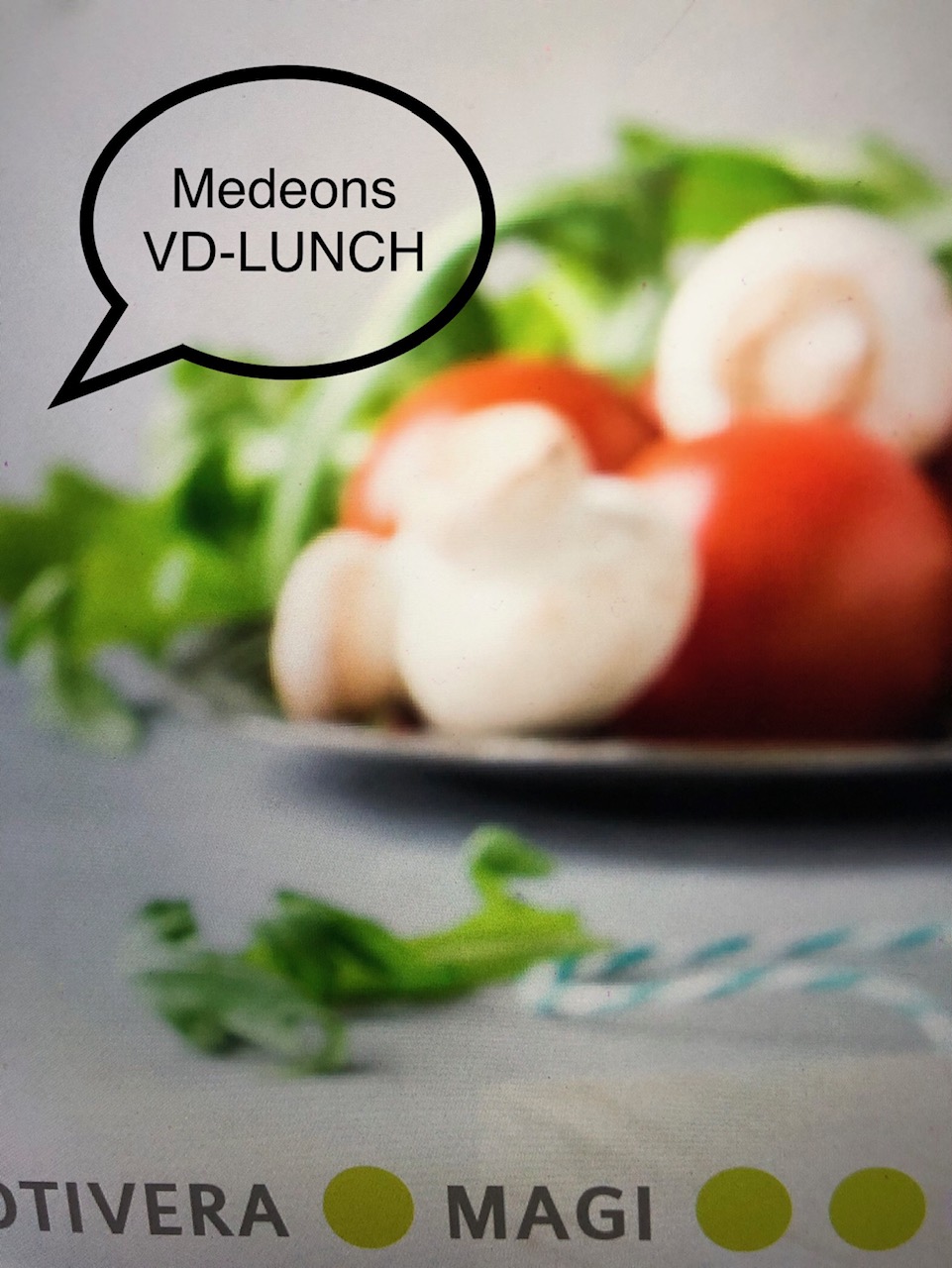 Medeons VD-lunch 1